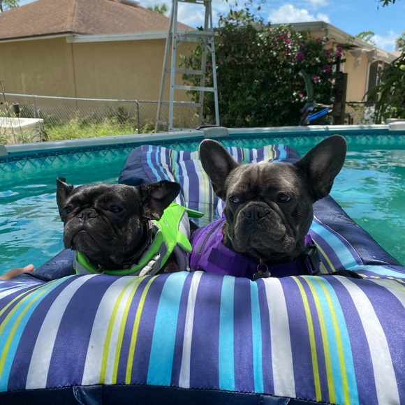 Meet your Posher, Kriss - Picture 2 of 2